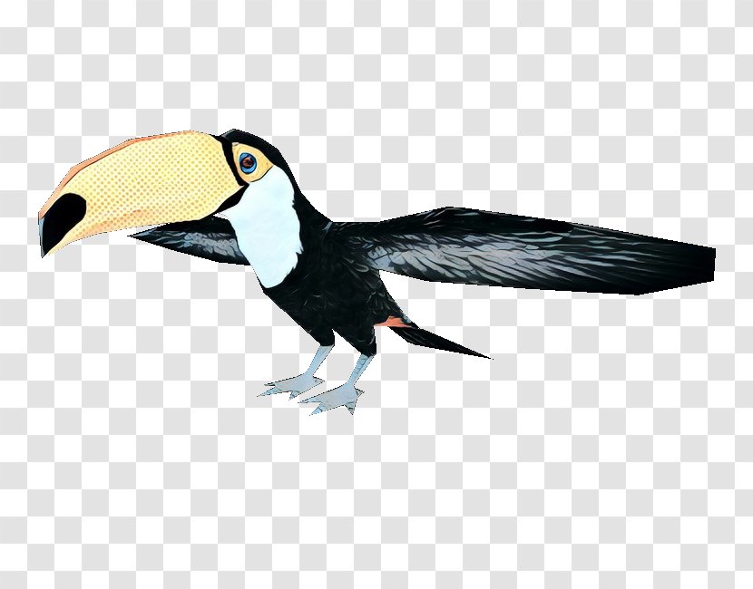 Hornbill Bird - Beak - Emperor Penguin Piciformes Transparent PNG