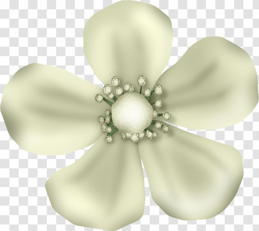 Petal Jewellery LiveInternet Flower - Quotation Transparent PNG