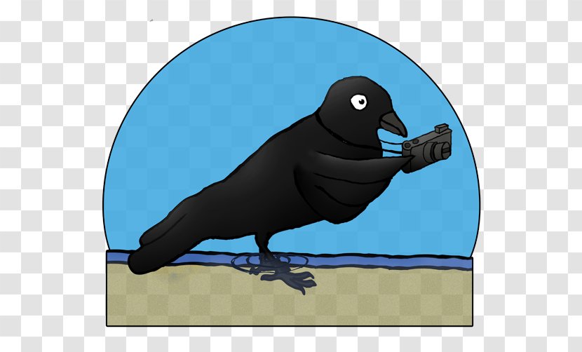 Bird Logo - Photography - Perching Crowlike Transparent PNG