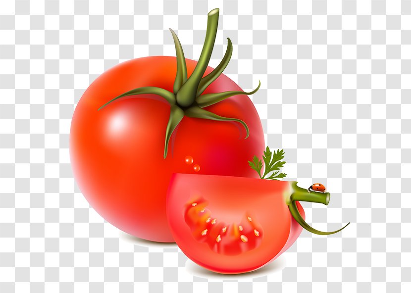 Vegetable Tomato - Potato And Genus Transparent PNG