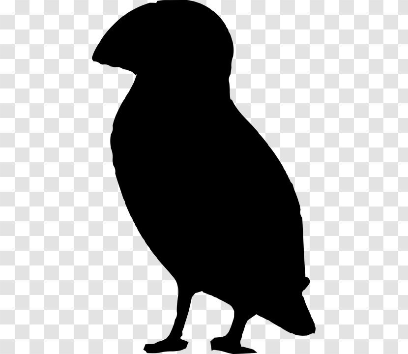 Bird Silhouette Beak Atlantic Puffin Clip Art - Wing Transparent PNG