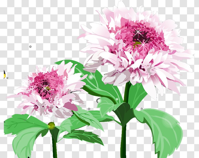 Floral Design Chrysanthemum Cut Flowers - Petal Transparent PNG