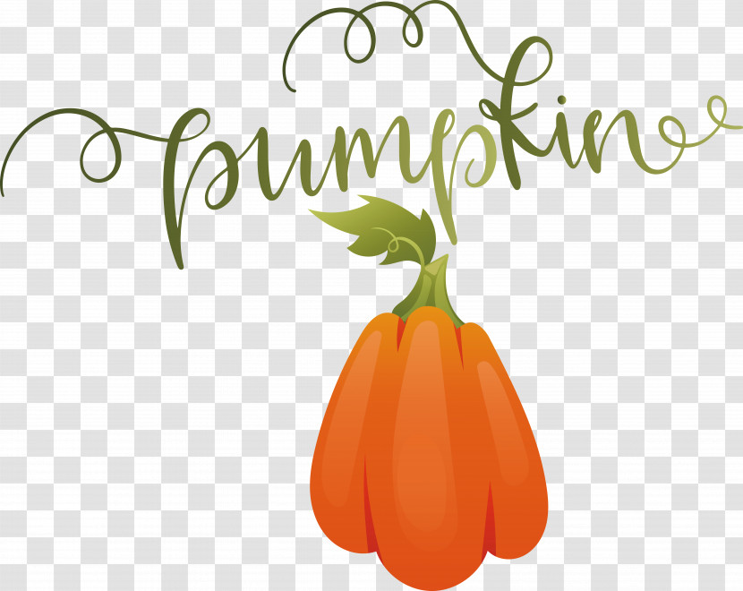 Pumpkin Transparent PNG