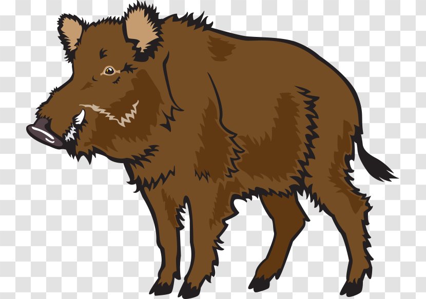 Wild Boar Common Warthog Clip Art - Pig - Vector Material Transparent PNG