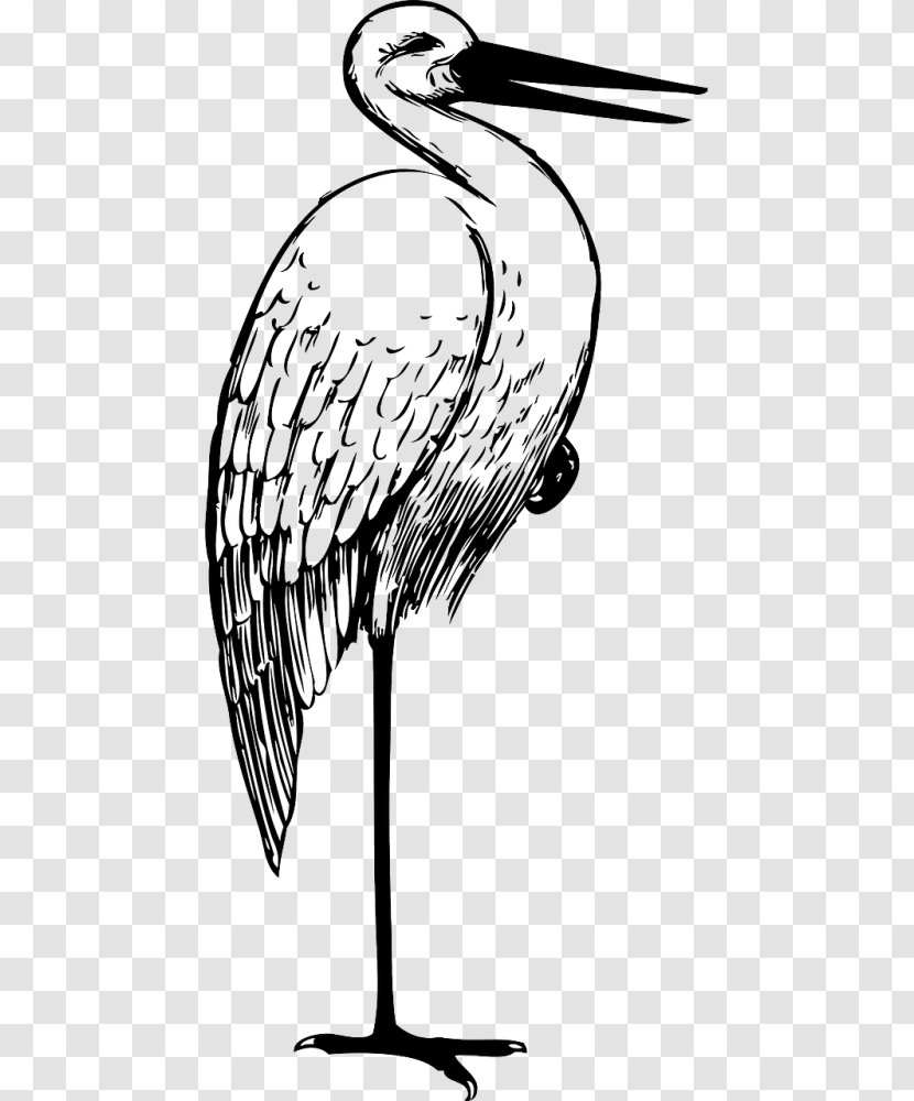 White Stork Crane Bird The Clip Art - Marabou - Large Birdcage Shelf Transparent PNG