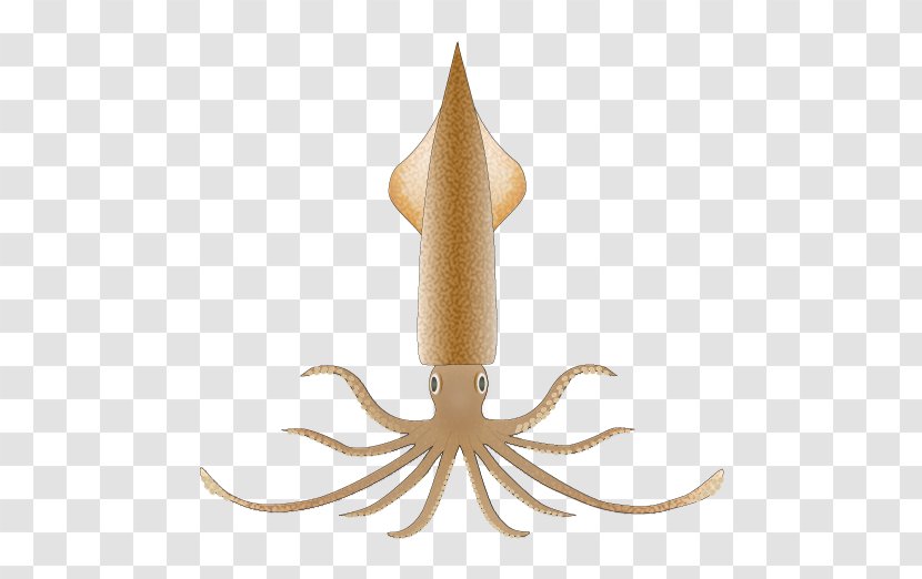 Cephalopod Squid Clip Art Octopus Image - Transparency And Translucency Transparent PNG