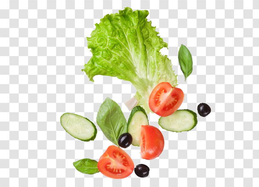 Salad Vegetable Tomato Stock Photography Lettuce - Cucumber - Vegetables And Tomatoes Transparent PNG
