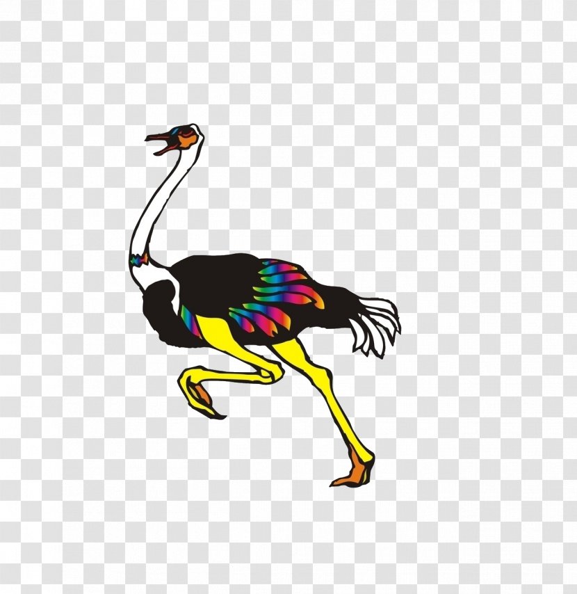 Common Ostrich Birds And People Flamingos Pelican - Running Transparent PNG