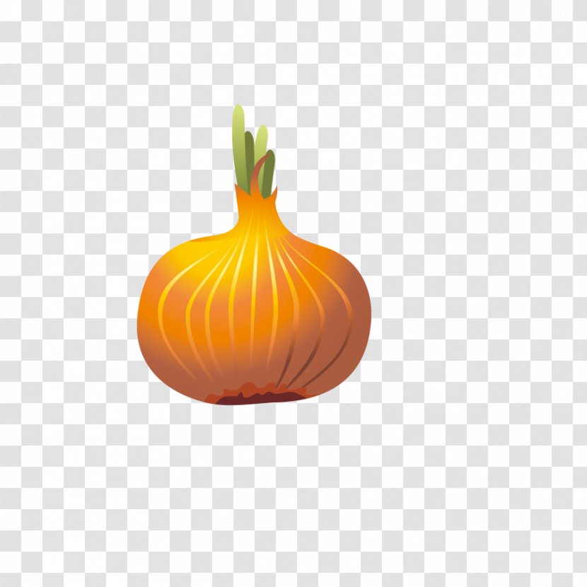 Calabaza Onion Cartoon - Gratis Transparent PNG