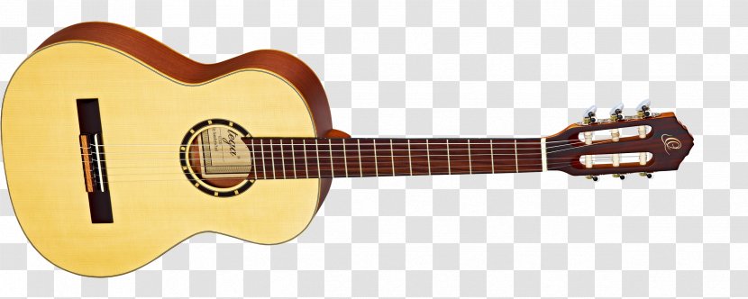 Cort Guitars Musical Instruments Acoustic-electric Guitar Steel-string Acoustic - Flower - Amancio Ortega Transparent PNG