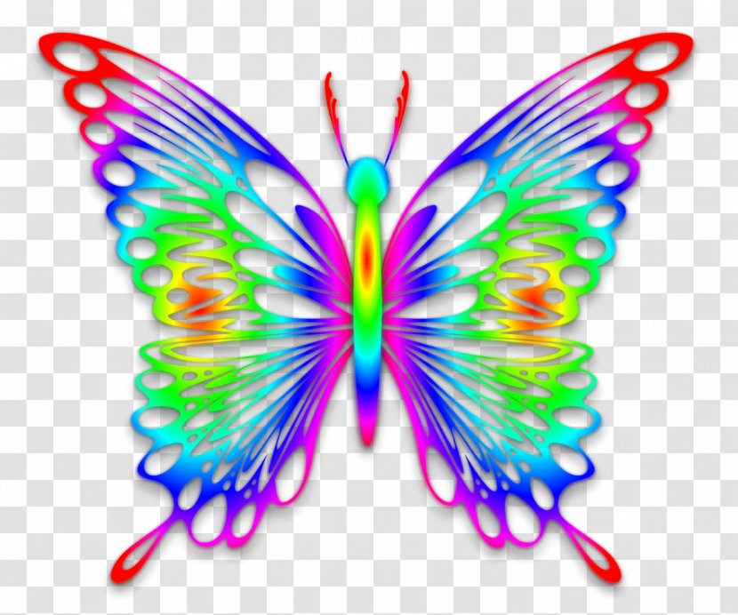 Butterfly Rainbow Desktop Wallpaper Clip Art - Brush Footed - Watercolor Transparent PNG