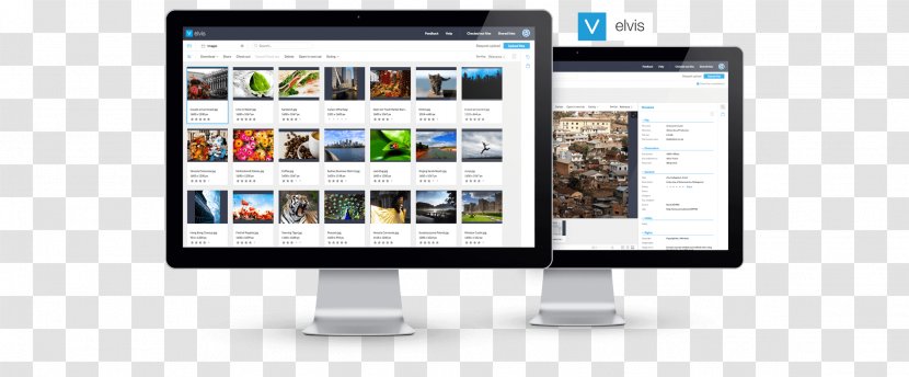Computer Software Digital Asset Management Information WoodWing - Media - Monitors Transparent PNG