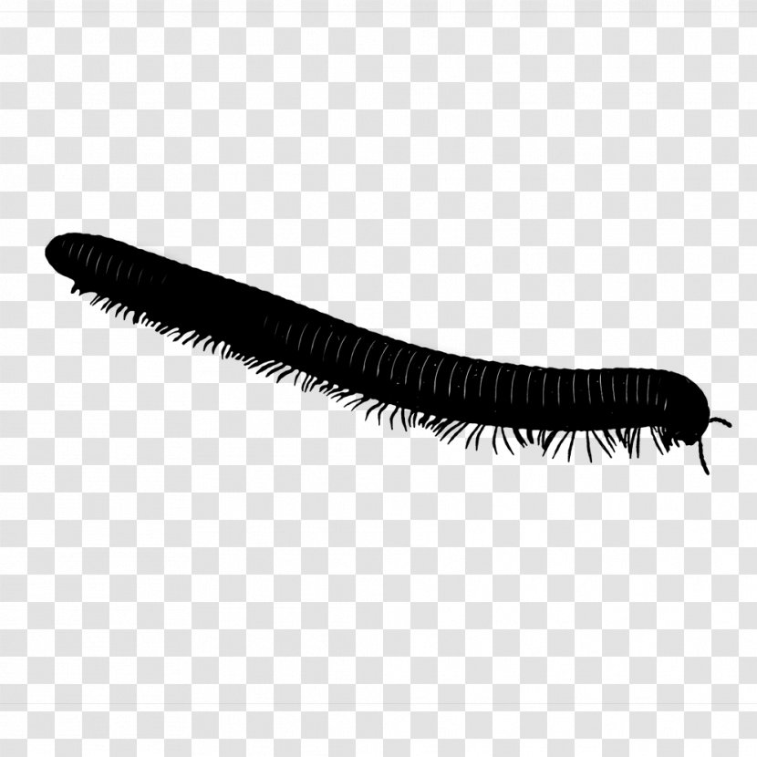 Eyelash Brush - Invertebrate - Cosmetics Transparent PNG