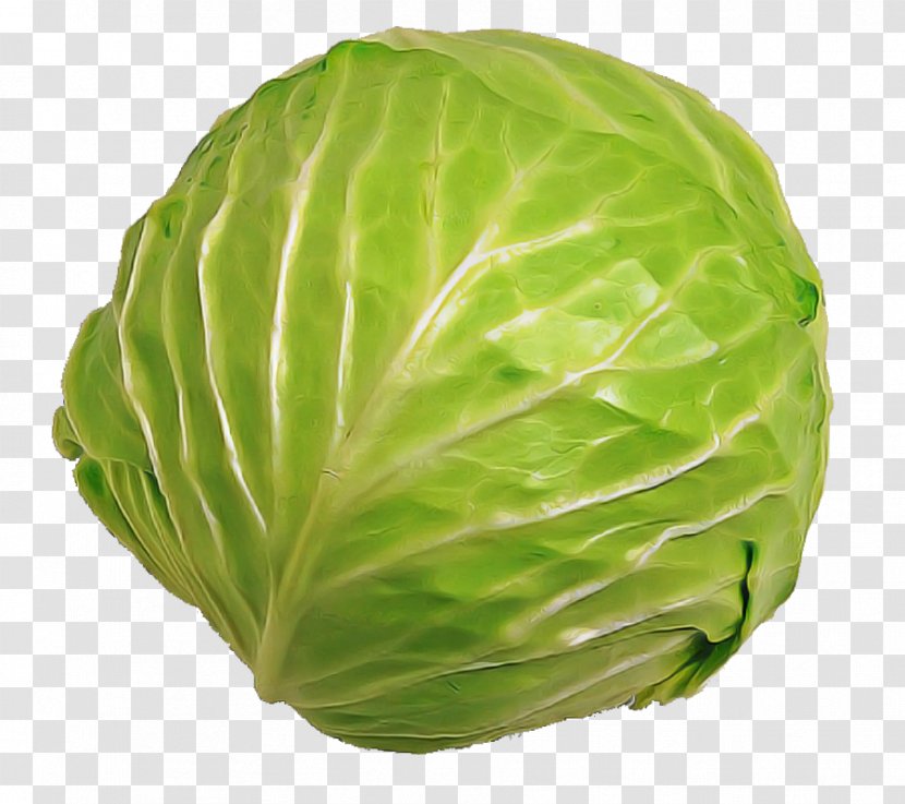 Cabbage Iceburg Lettuce Vegetable Wild Savoy - Leaf - Food Transparent PNG