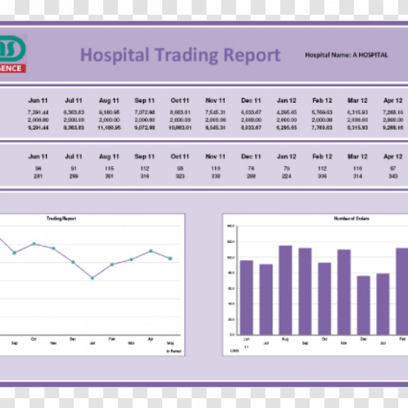 Business Intelligence Information Report Management - Silhouette - Hospital Pharmacist Transparent PNG