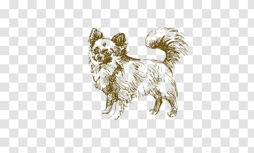 Jack Russell Terrier Puppy Drawing Illustration - Pet - Dog Transparent PNG