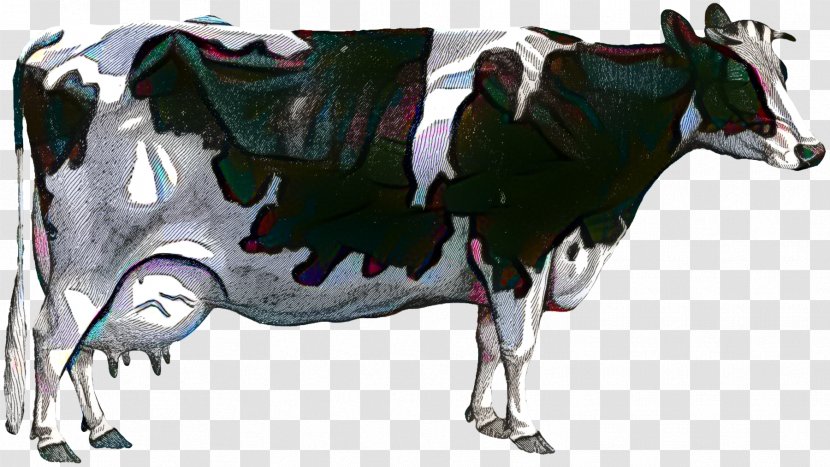 Dairy Cattle Taurine Calf - Cow - Farm Transparent PNG