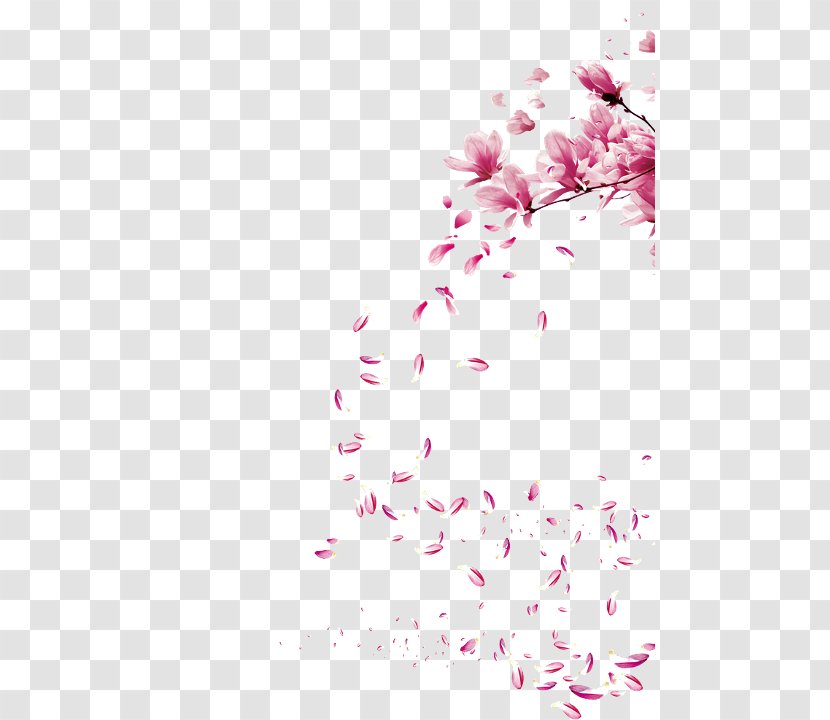 Watercolor Painting Cherry Blossom Brush - Floral Design - Peach Festival Transparent PNG