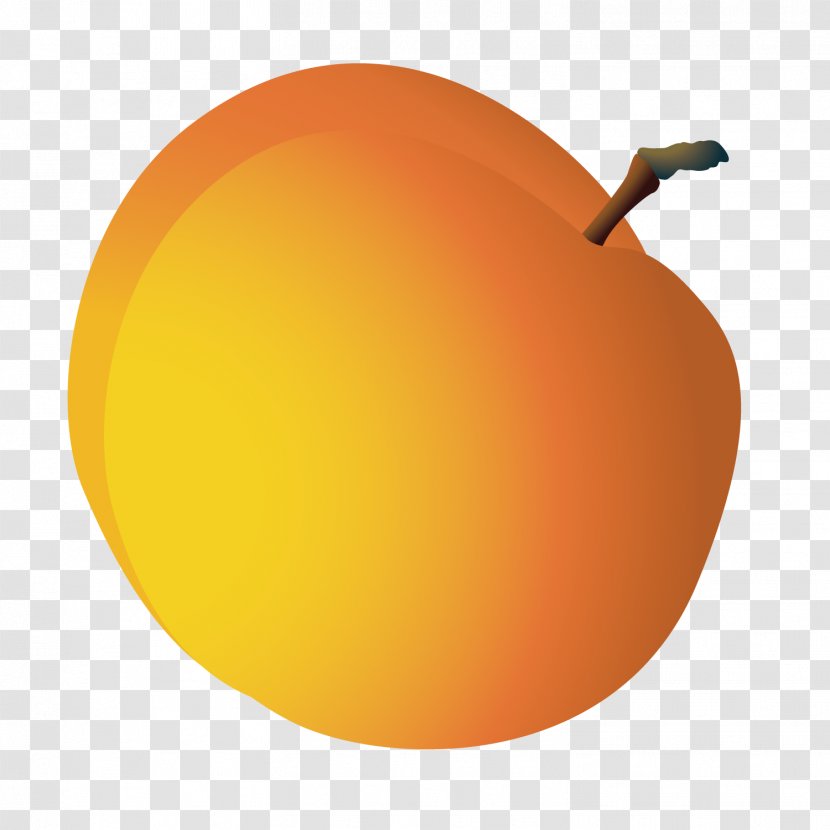 Orange Grapefruit Pomelo - Fruit - Cartoon Transparent PNG