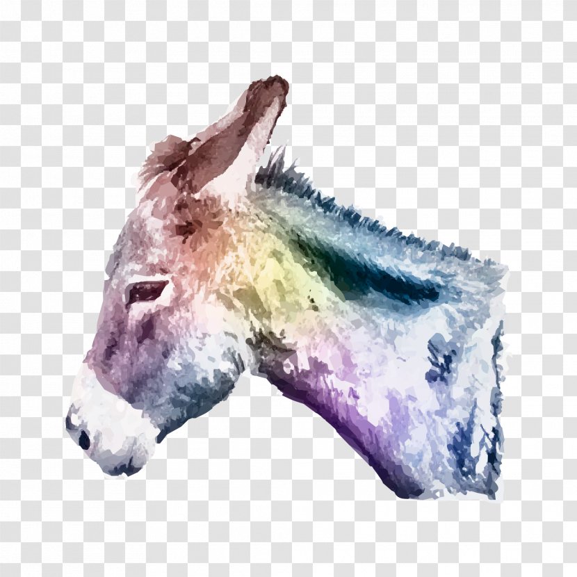 Donkey Watercolor Painting Transparent PNG