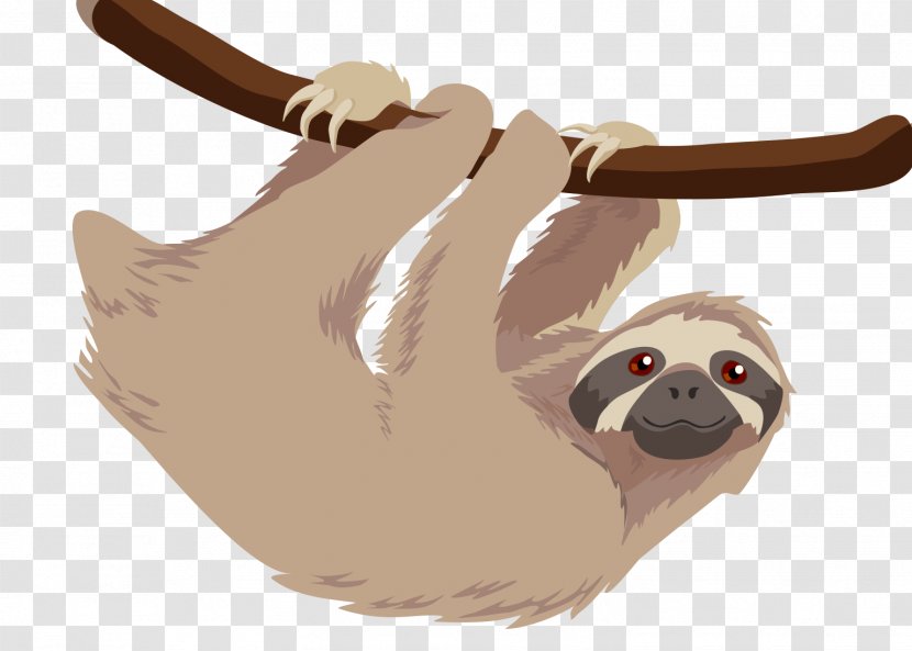 Hoffmann's Two-toed Sloth T-shirt Baby Sloths Three-toed - Gift Transparent PNG