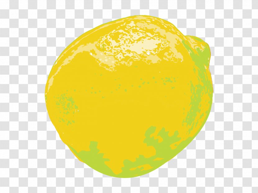 Citron Lemon Drawing Illustration - Spice - Beauty Of Fresh Transparent PNG