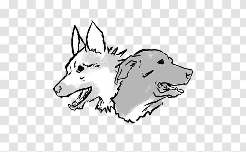 Dog Breed Agility Whiskers Snout - Paw Transparent PNG