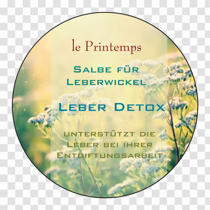 Text Essential Oil Printemps Crucible - Detox Transparent PNG