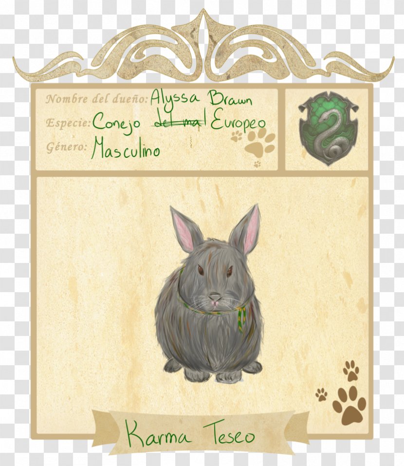 Domestic Rabbit Easter Bunny Hare Pottermore Limited Transparent PNG