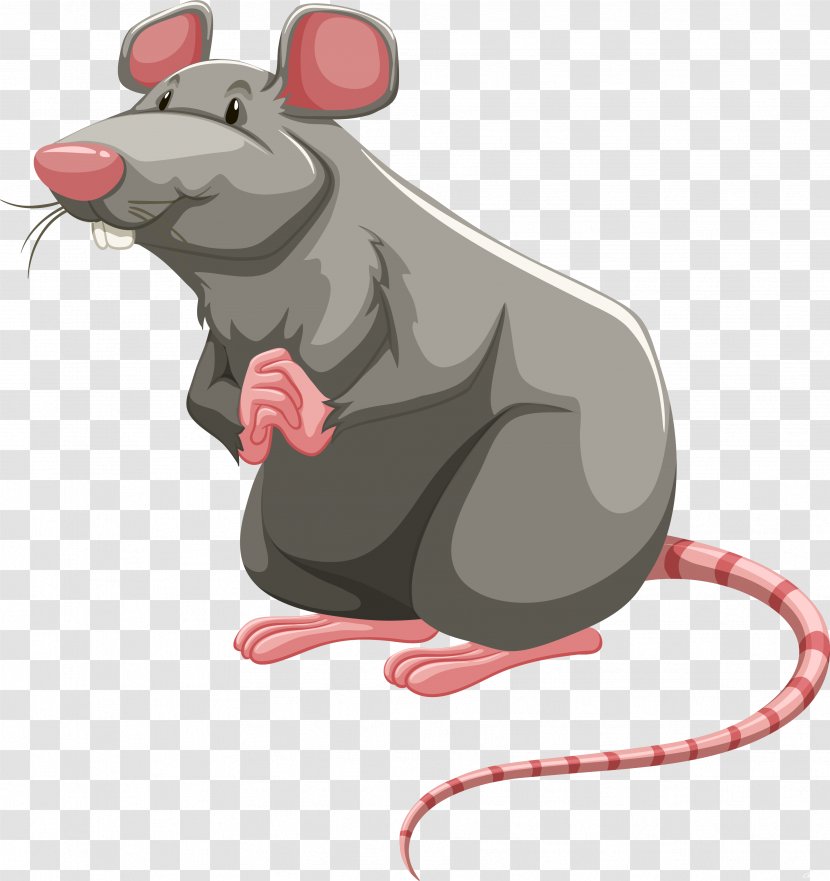 Laboratory Rat Brown Rodent Clip Art - Muroids - Cartoon Transparent PNG