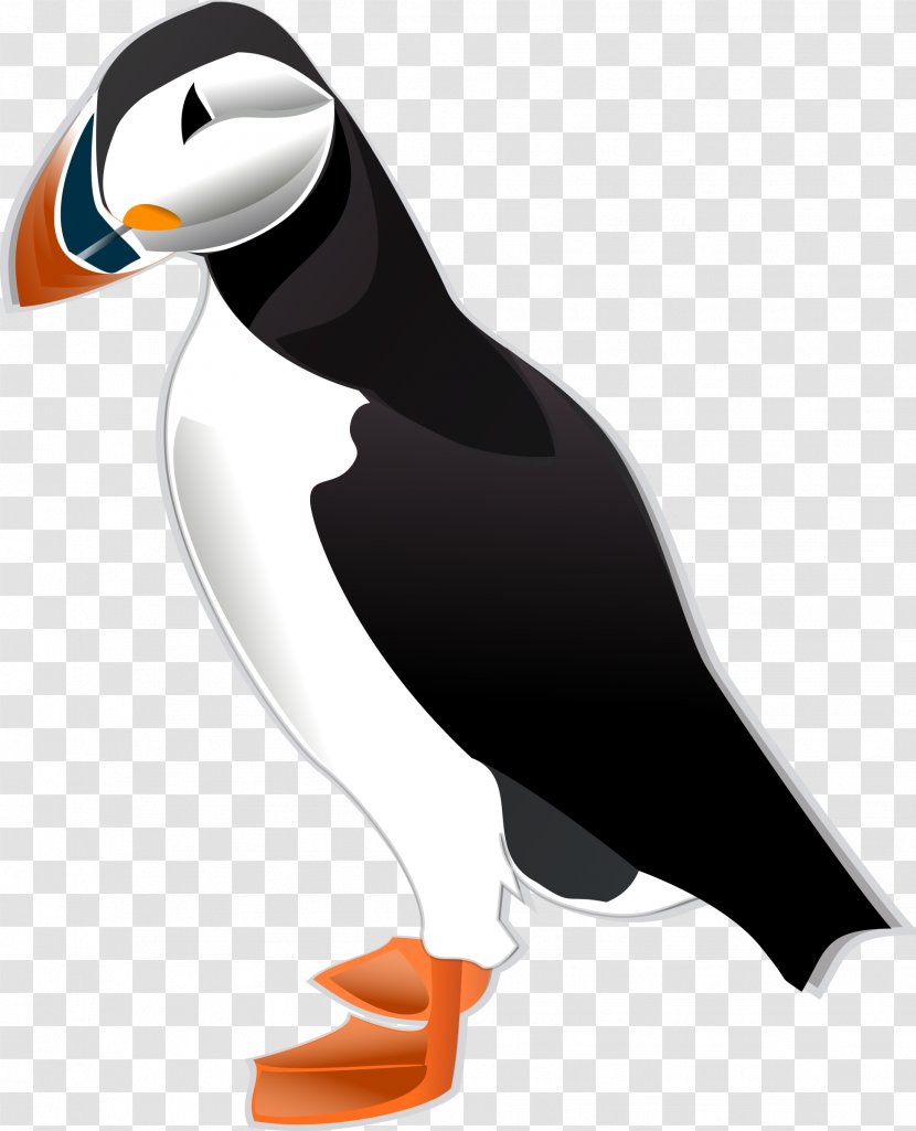 Bird Atlantic Puffin Clip Art - Penguin Transparent PNG