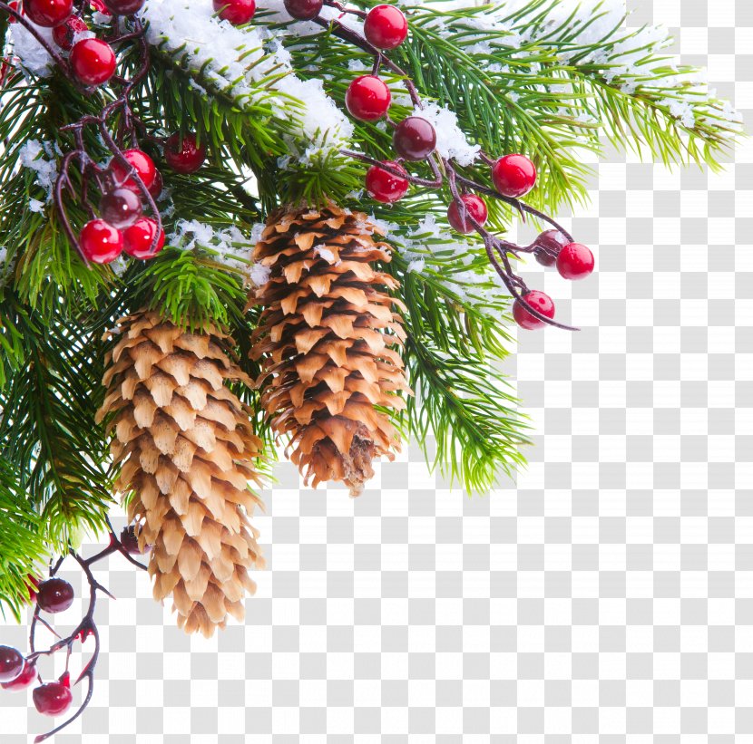 Christmas Tree Ornament Decoration Card Transparent PNG