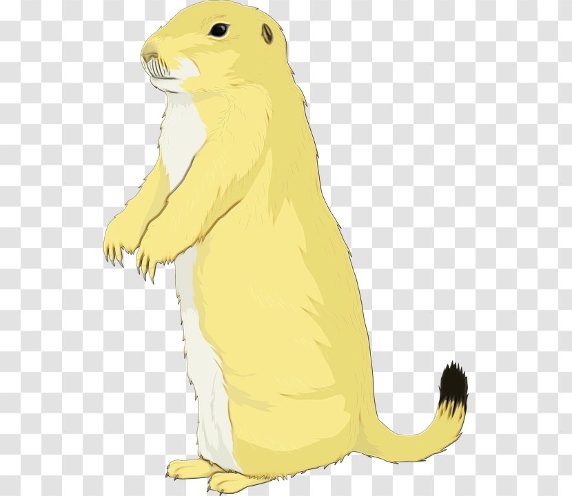 Whiskers Rat Beaver Hare Cat - Prairie Dog - Animal Figure Transparent PNG