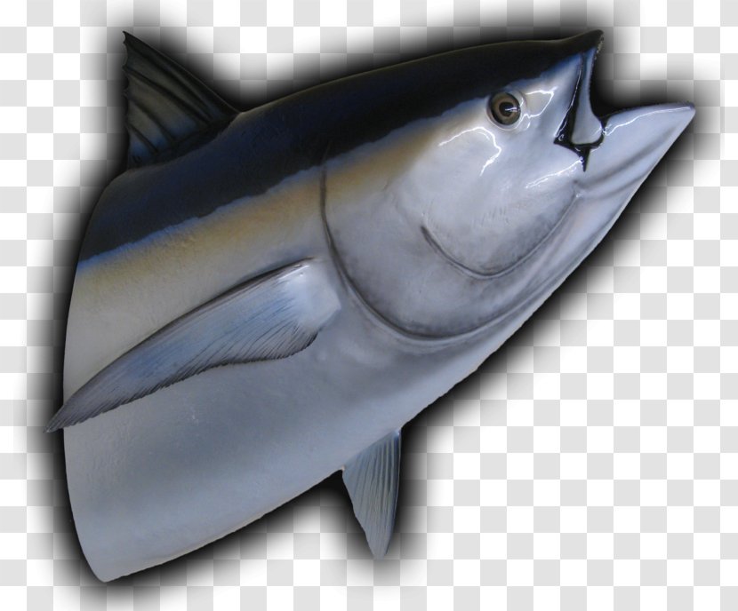 Tiger Shark Tuna Fish Sandwich Atlantic Bluefin Yellowfin Transparent PNG