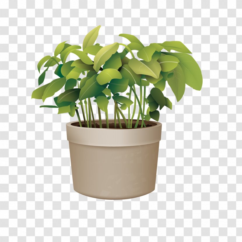 Flowerpot Plant - Material - Vector Green Potted Plants Transparent PNG