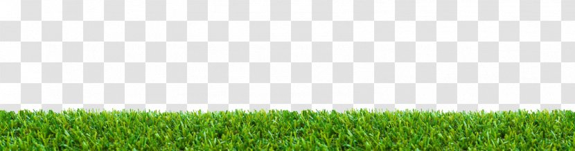 Stock Photography Royalty-free Lawn - Meadow - Grass Mat Transparent PNG