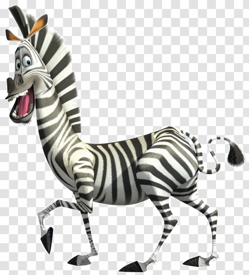 Alex Melman Madagascar Desktop Wallpaper - Marty - Zebra Transparent PNG