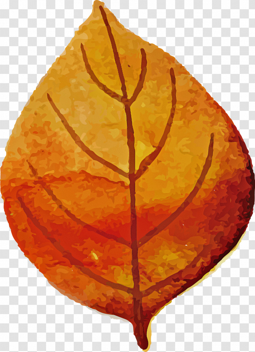 Autumn Leaf Colorful Leaf Transparent PNG