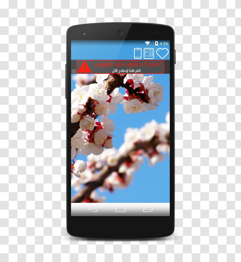 Desktop Wallpaper Metaphor Blossom McGill University Mobile Phones - Phone - Flower Transparent PNG