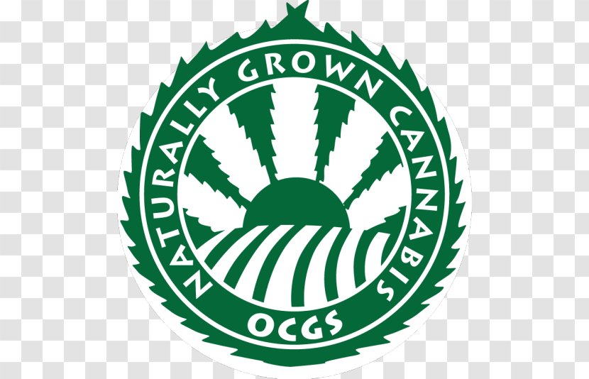 Sociedade Esportiva Palmeiras Handicraft Art Adhesive - Caricature - Cannabis Rights Transparent PNG