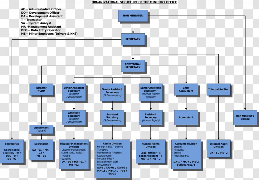 Organizational Structure Chart Business - Company - Organization Transparent PNG