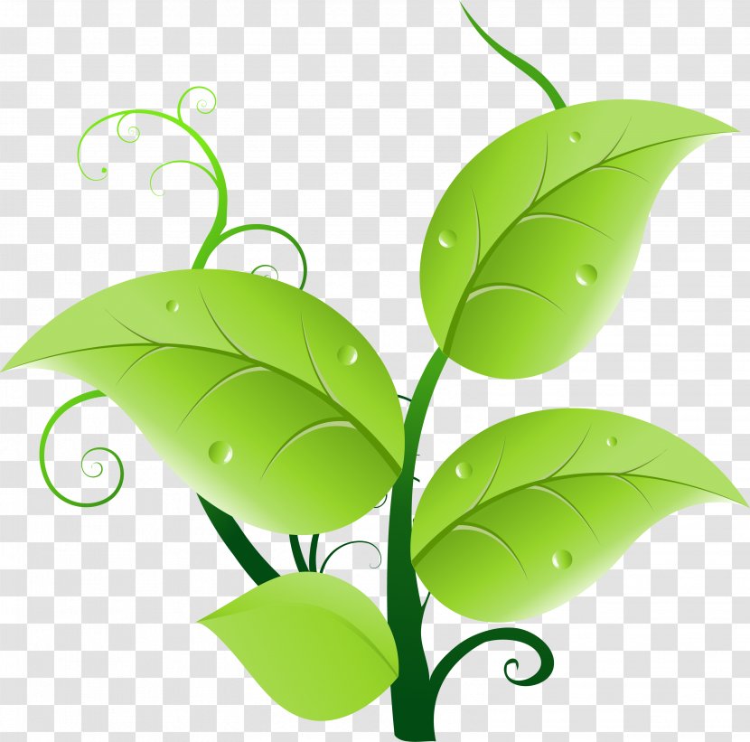 Leaf Green Clip Art - Leaves Transparent PNG