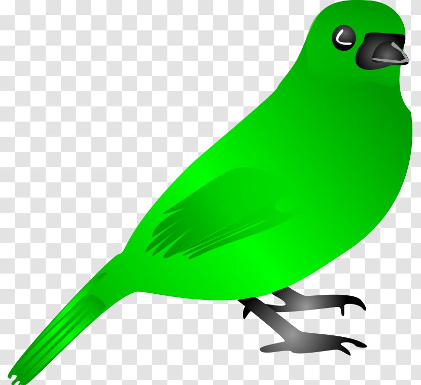 Bird Flight Green Clip Art - Perico - Chickadee Clipart Transparent PNG