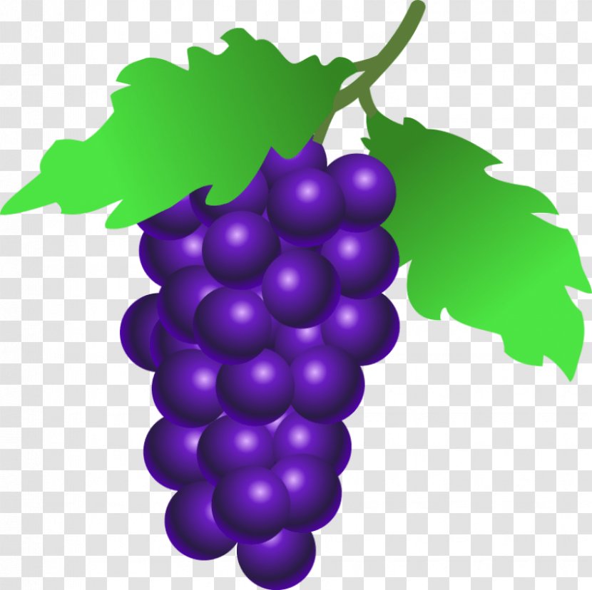 Common Grape Vine Wine Clip Art - Plant Transparent PNG
