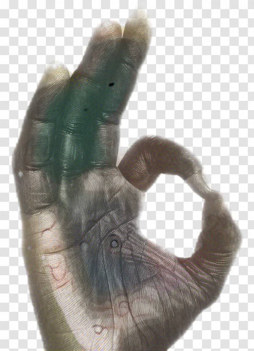 Animal Hand - Thumb - Glove Transparent PNG
