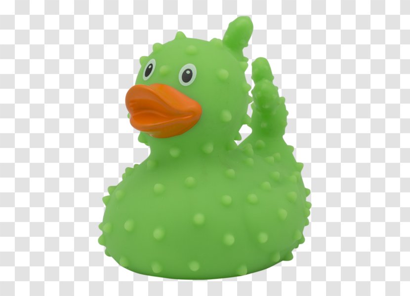 Rubber Duck Cactaceae Toy Succulent Plant Transparent PNG