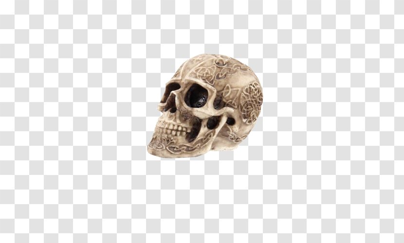 Skull Tirelire - Plastic Transparent PNG