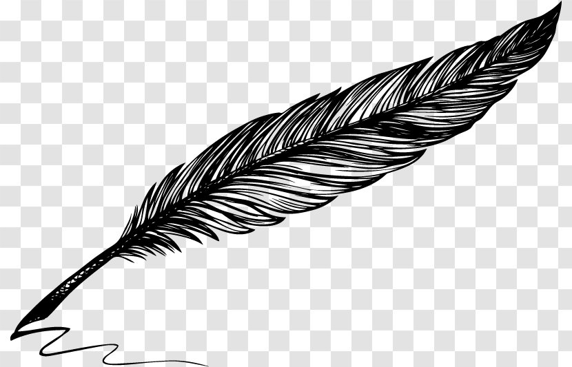 Drawing Quill Vector Graphics Pen Illustration - Feather - Clipart Black And White Transparent PNG