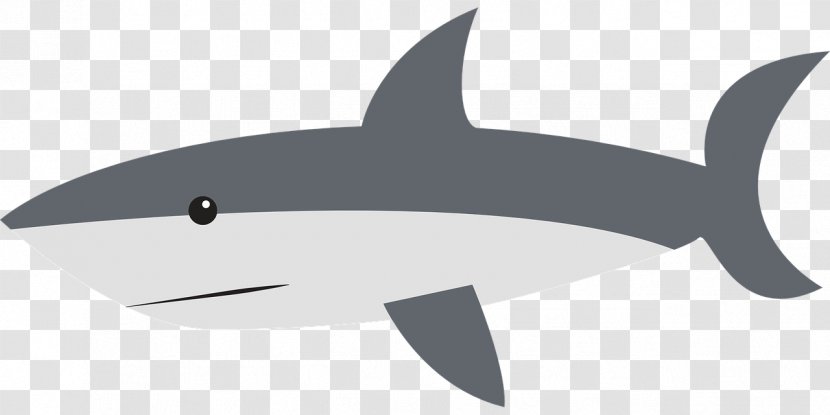 Shark Jaws Tiger Drawing Clip Art - Requiem - Swimming Transparent PNG