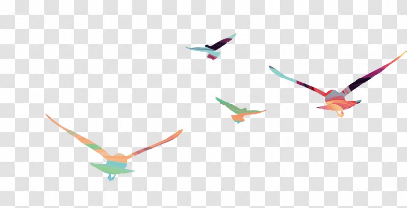 Bird Hawk Eagle - Triangle - Color Flying Eagles Transparent PNG